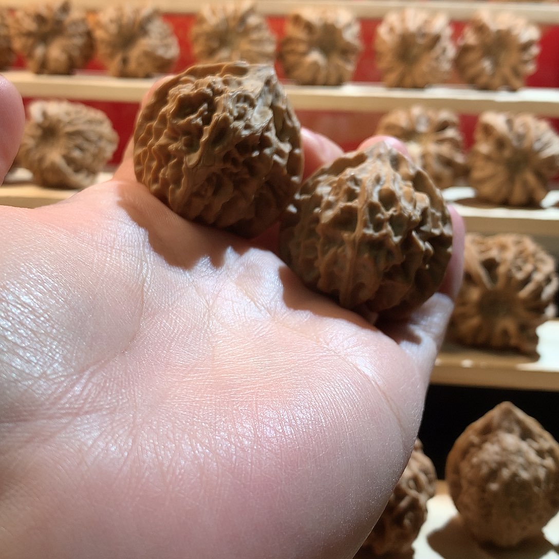 东***仓核桃39龙门涧文玩核桃手把件