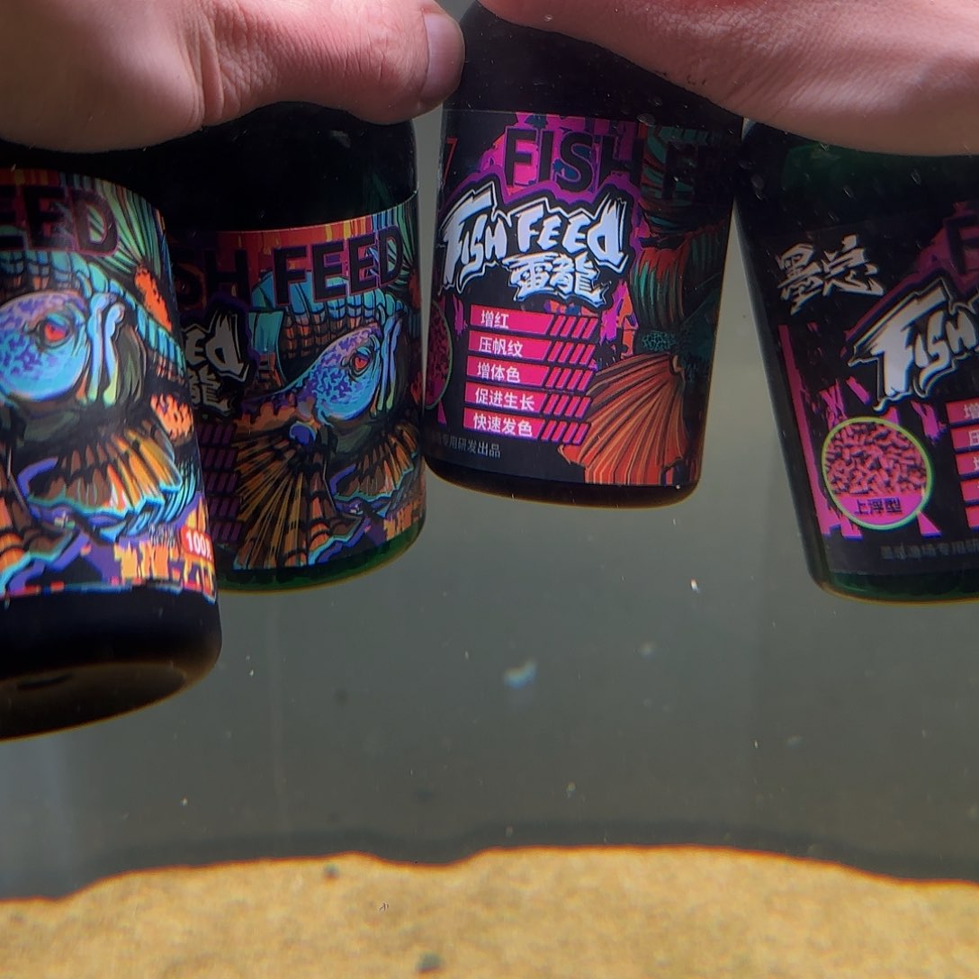 热带鱼公1011111111