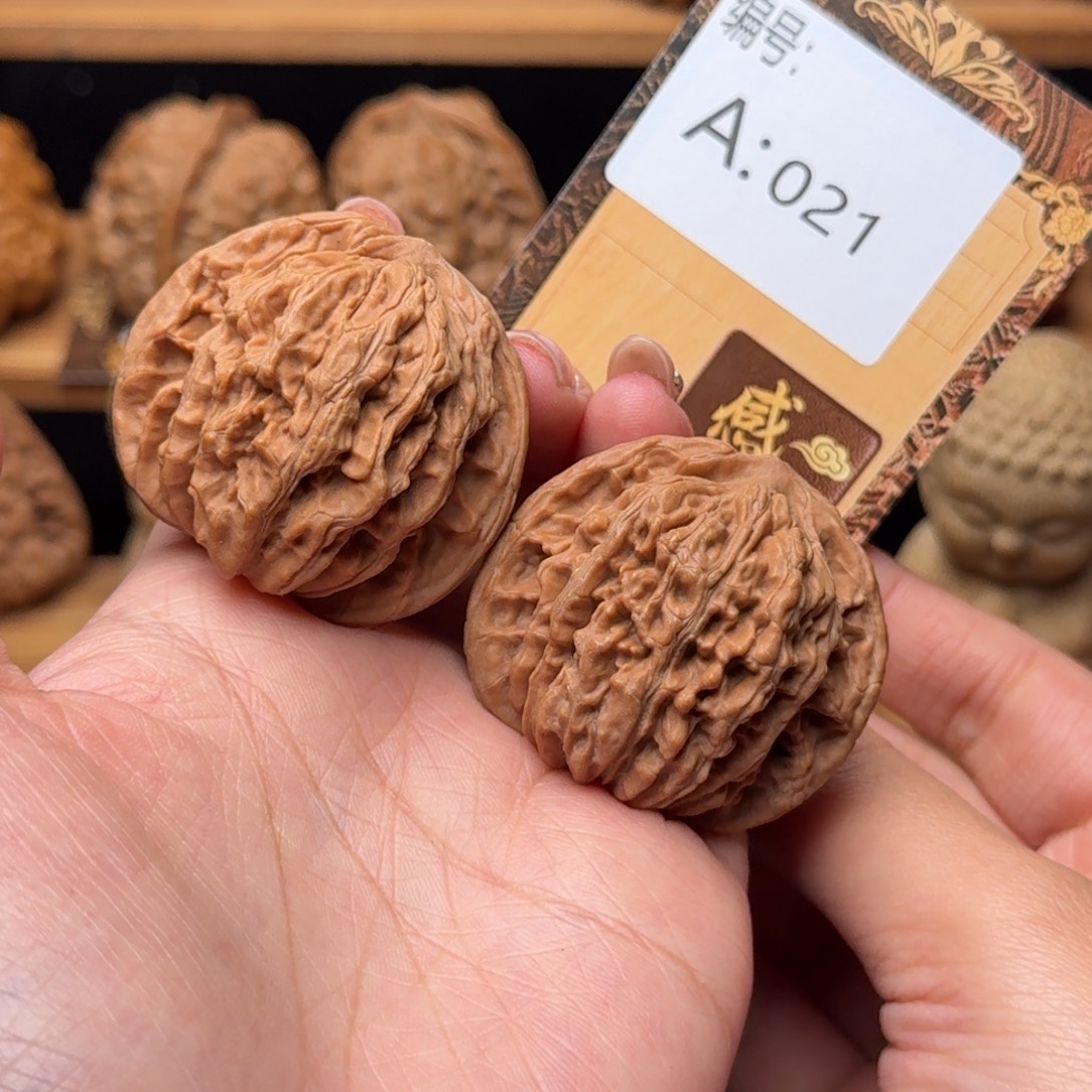 核桃a021四座楼4.3全品