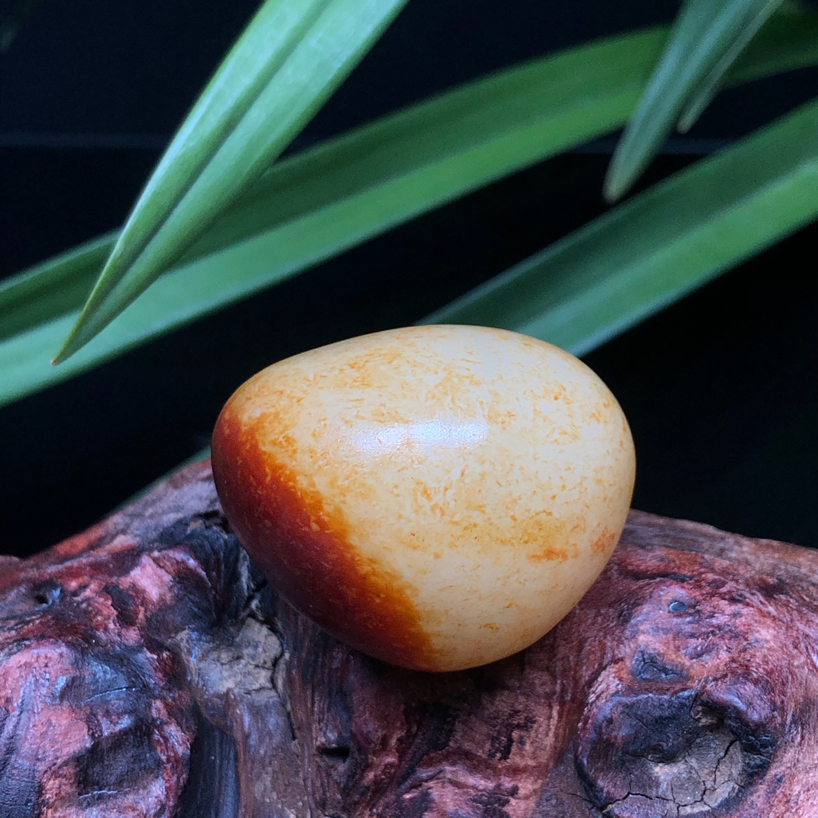 【底价已开价】51克和田玉红皮手把件38*35*25mm货号02305和