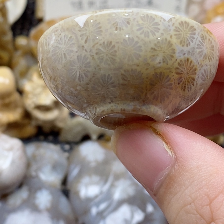 颈饰未镶嵌硅化珊瑚（珊瑚玉）