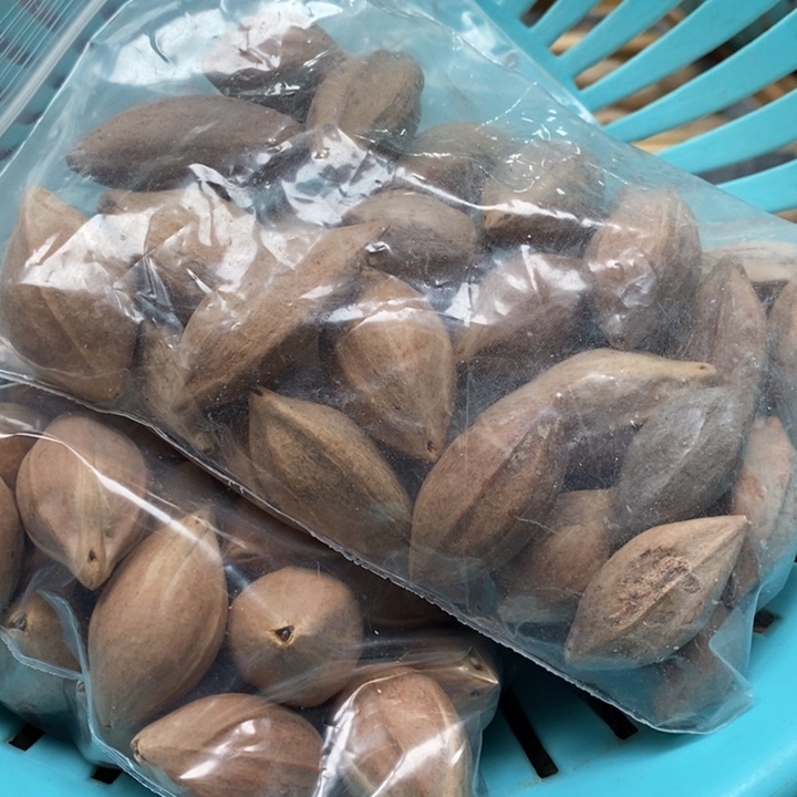 吊坠橄榄核福利不退