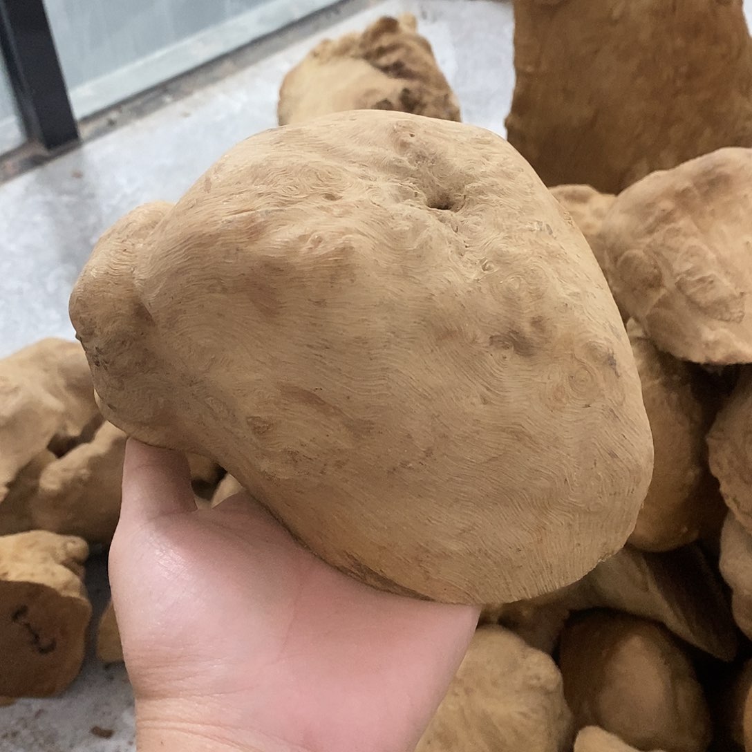 荔枝木云*荔枝木挖空