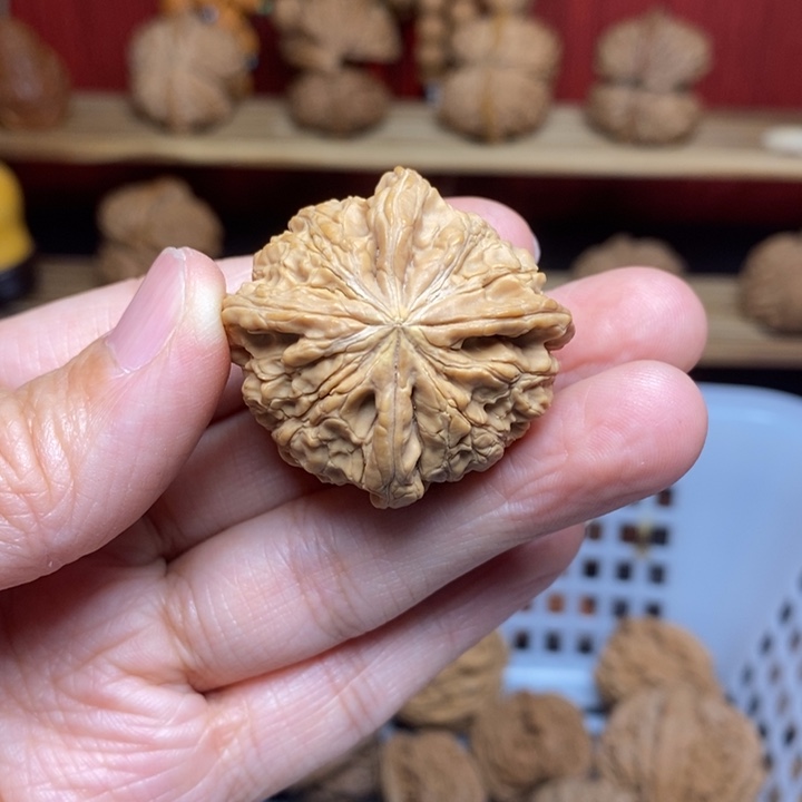 鱼***号文玩核桃把件文玩