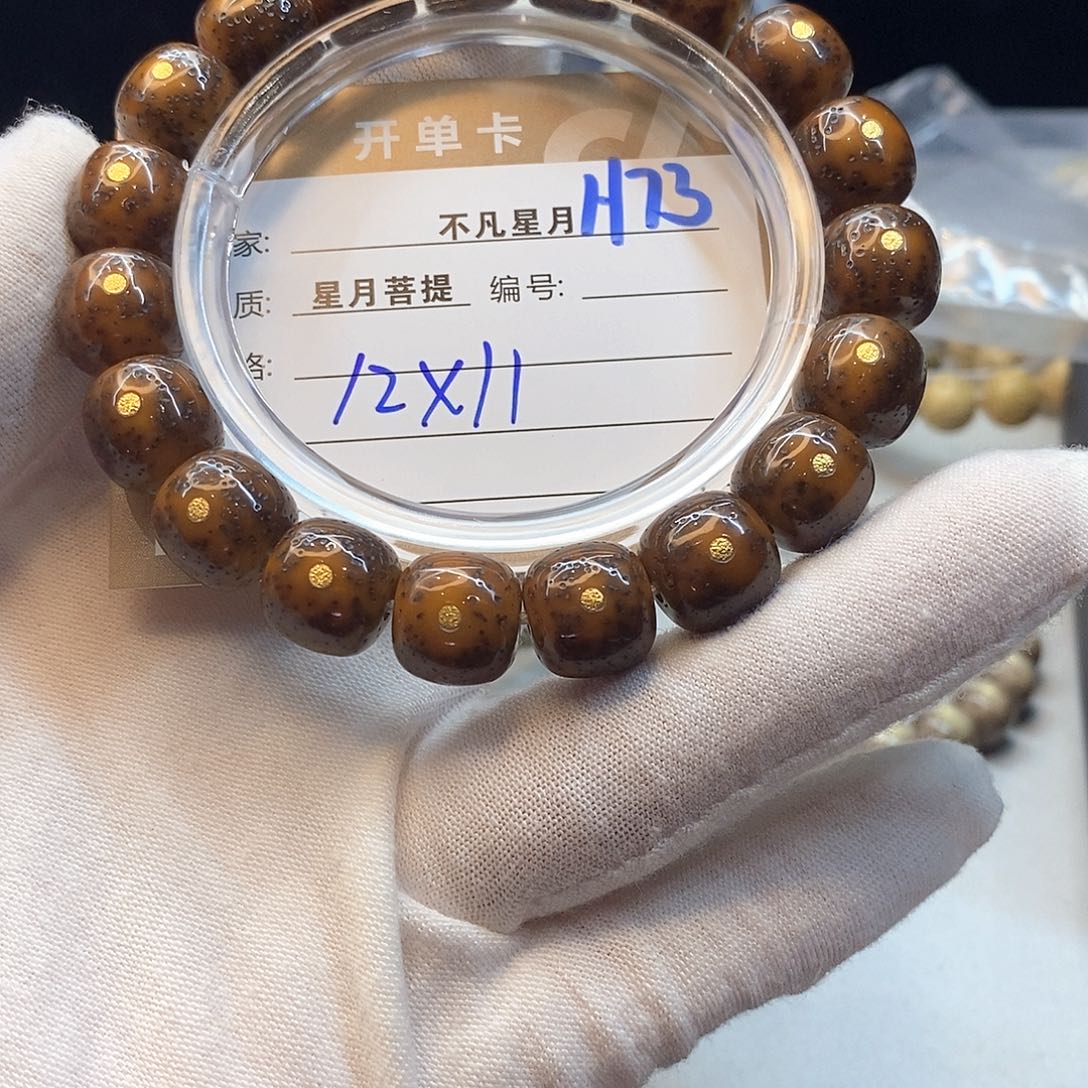 星月菩提吊坠11112222H73