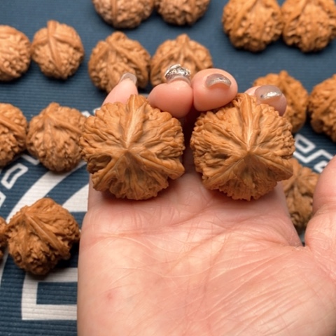 橄榄核手串/手链文山三棱御龙粗筋38