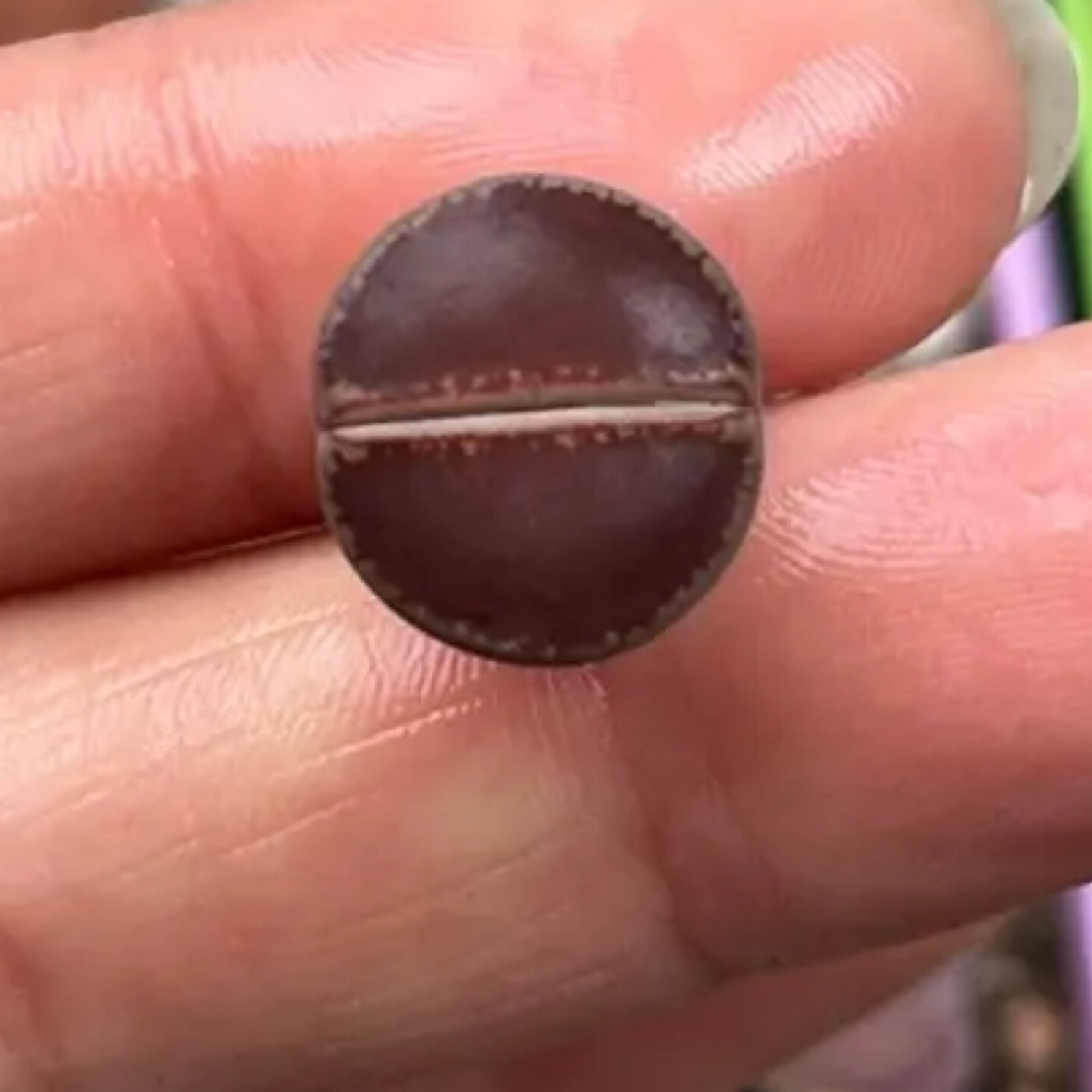 生石花多肉植物 静窗KO可选，拍五送一