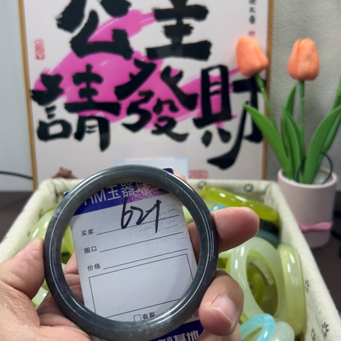 蛇纹石玉手镯未镶嵌289