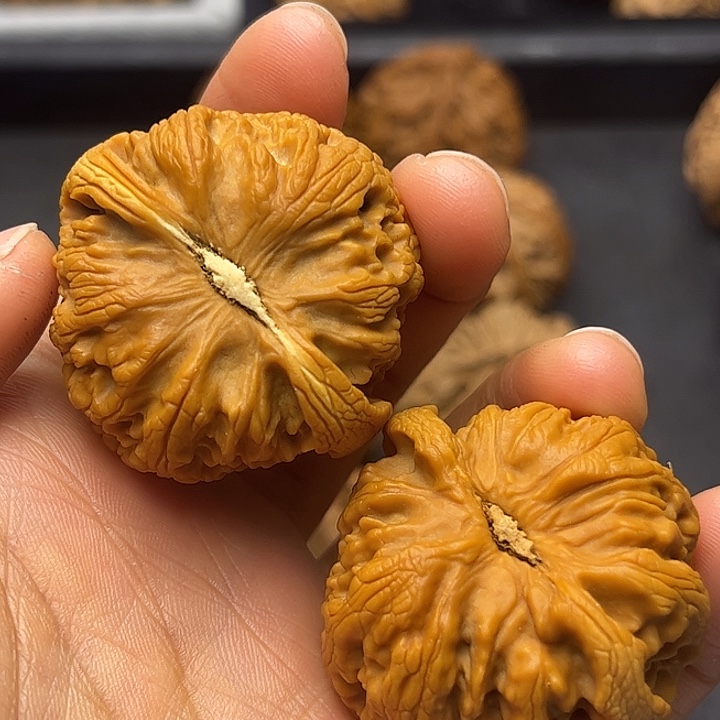 大***菲核桃秦岭突突突突突