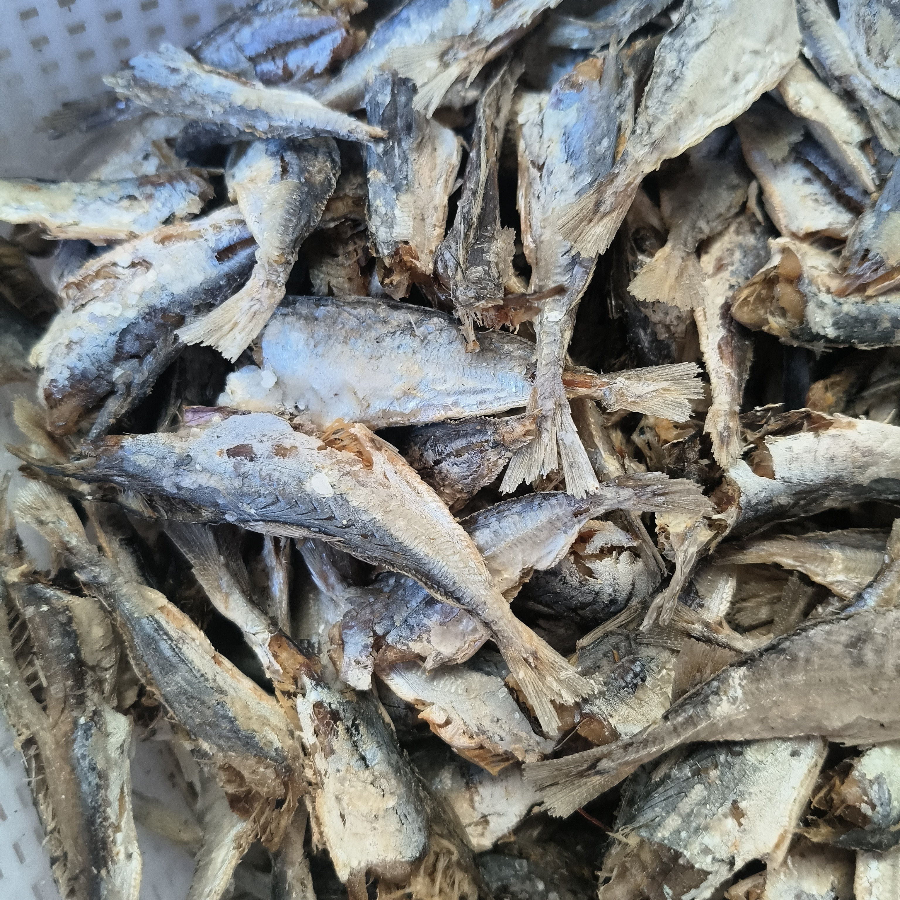 去头去肚的到手既食的小巴浪鱼干