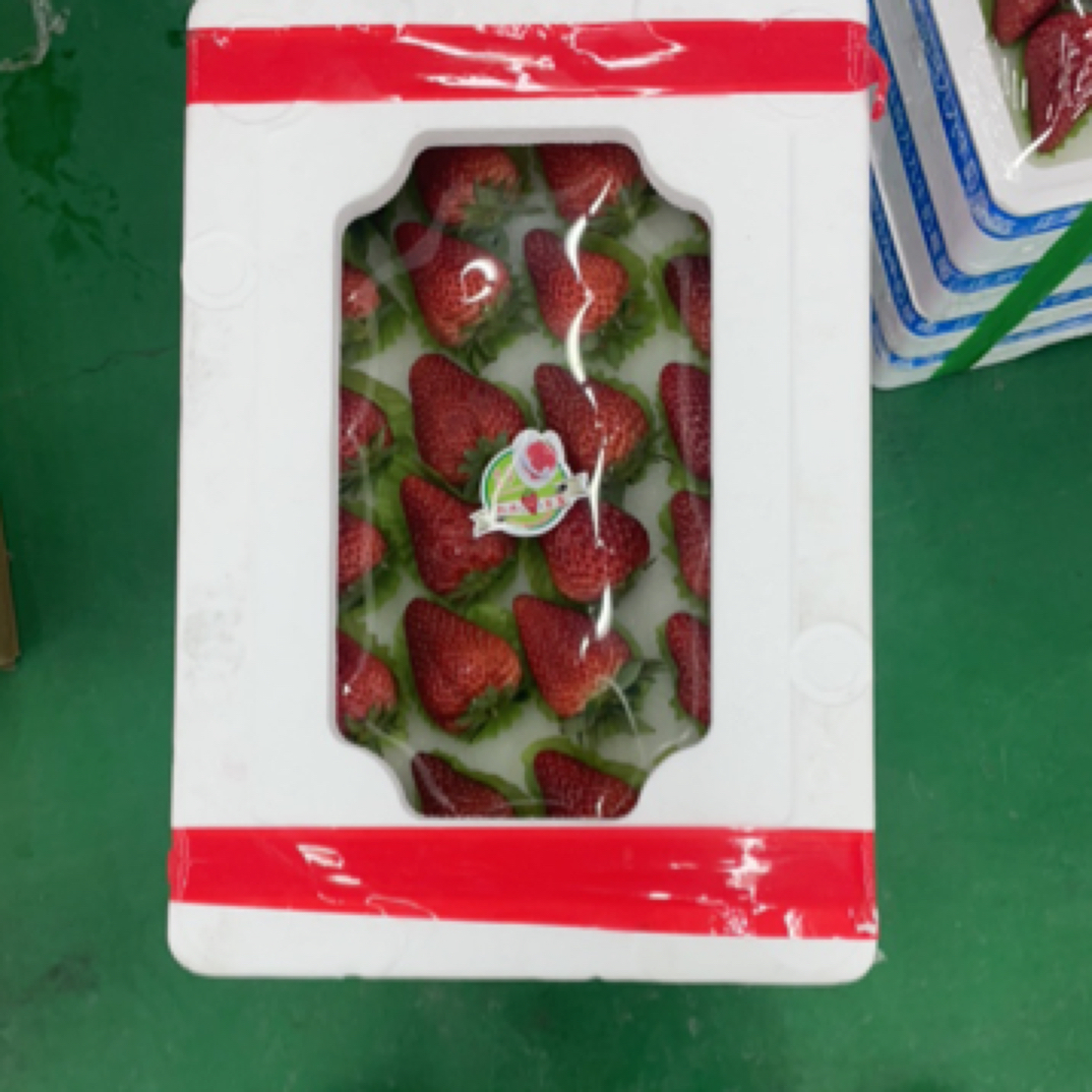 丹东九九草莓（24枚）