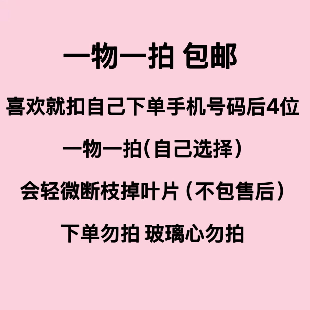 一物一拍 现货现发