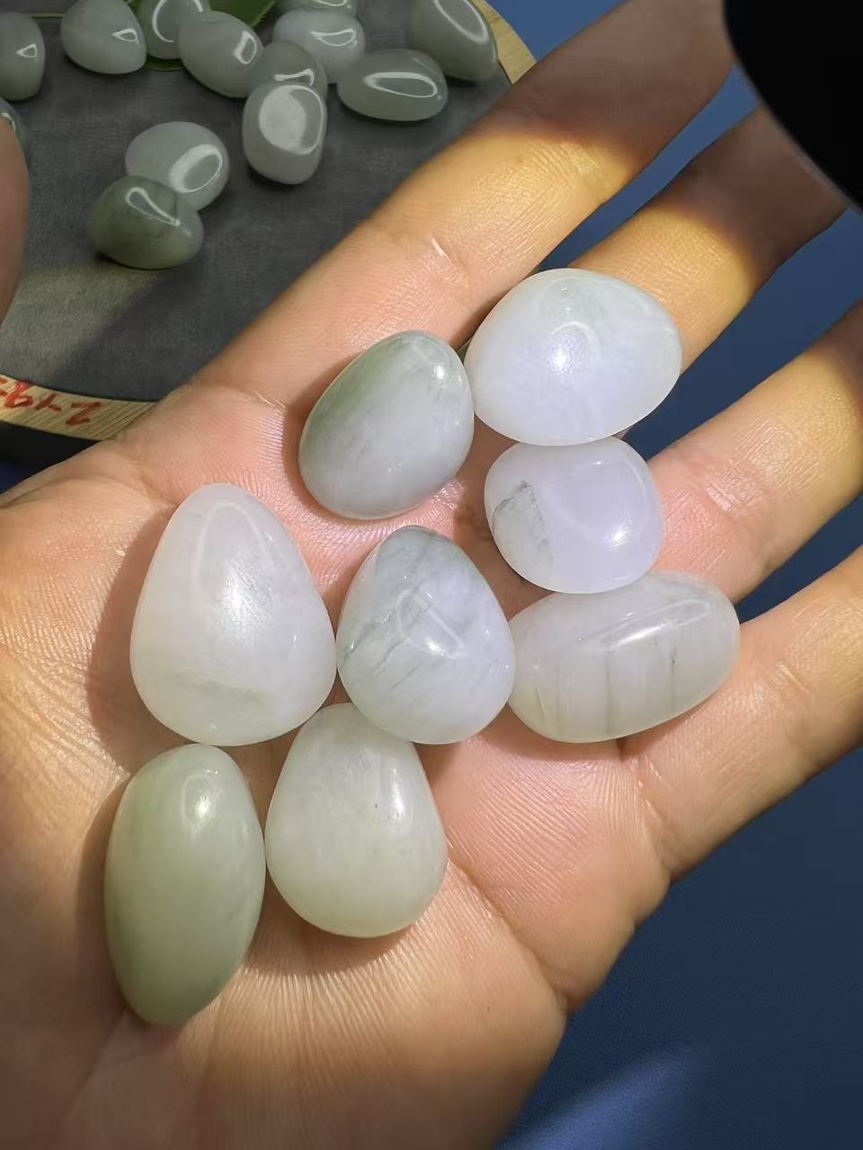 1.5-2.5cm天山翠鱼缸造景花盆铺面