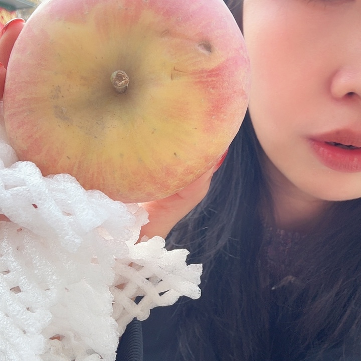 红富士苹果天赐果