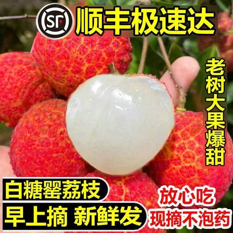 【顺丰京东冷链】正宗白糖罂荔枝现摘现发坏果包赔【多仓发货】天