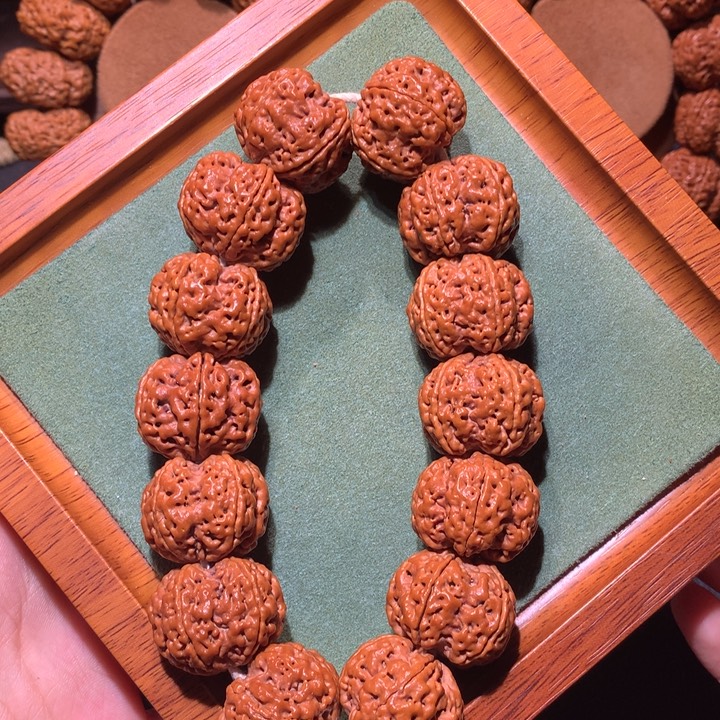 手串金刚菩提24+定制款龙骨梅花