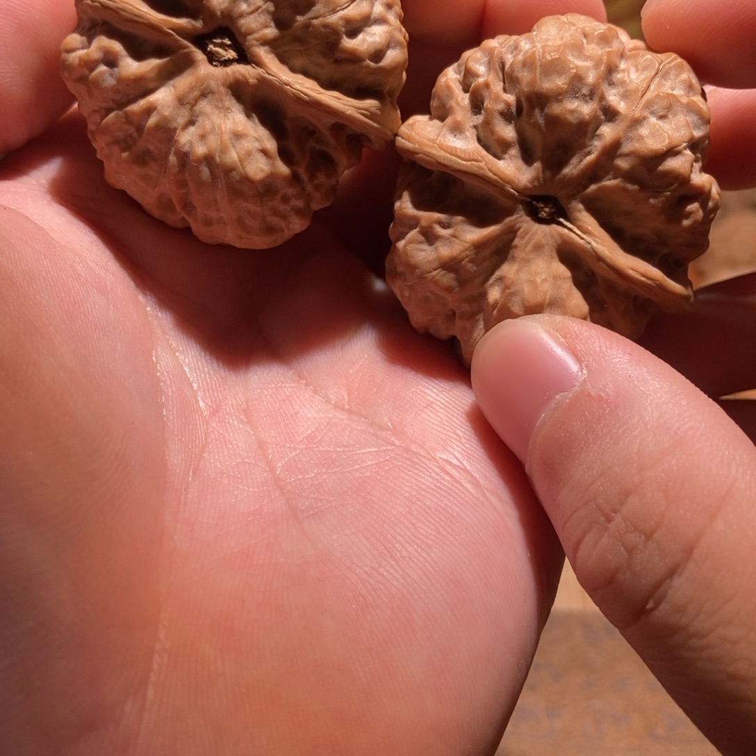 于***行吊坠文玩核桃蛤蟆头D47