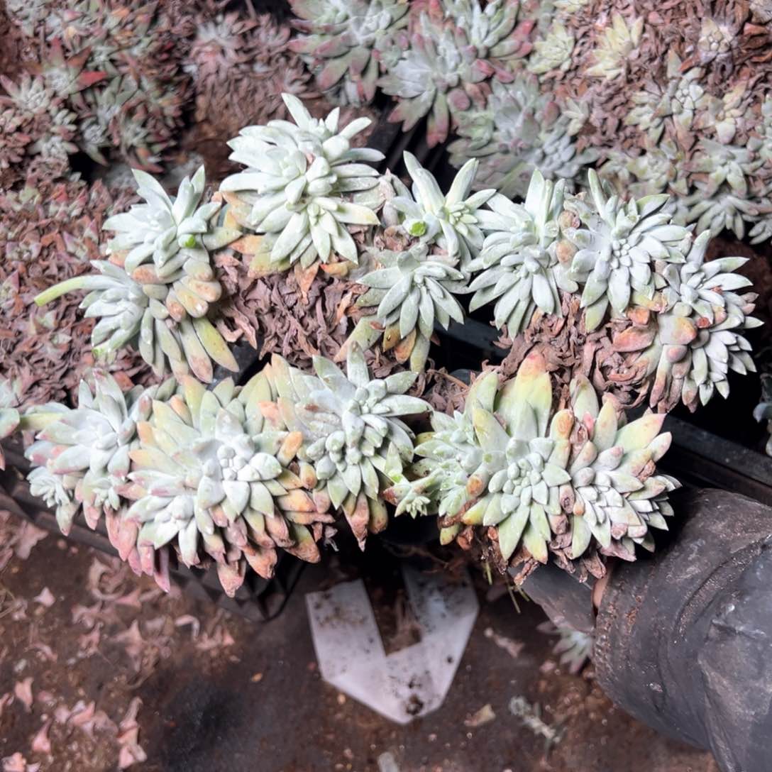 7002哈哈哈哈哈哈哈哈