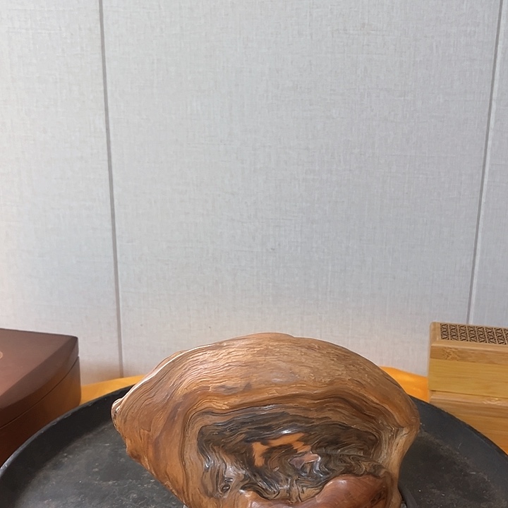 董***生柏木（崖柏）太行崖崖柏柏