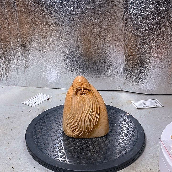 柏木（崖柏）寒**开太行大峡谷崖柏