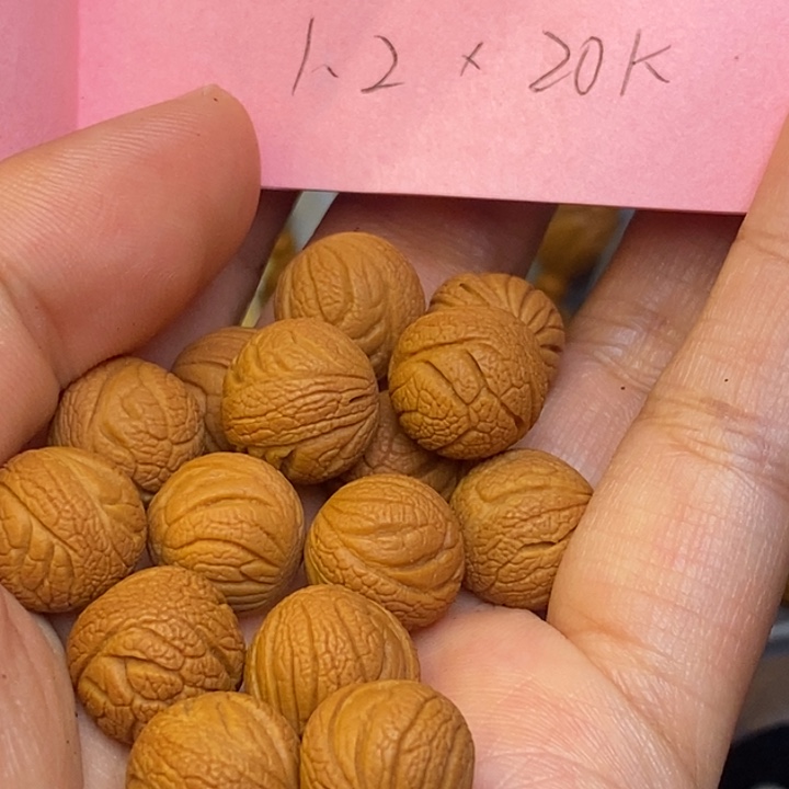 文玩核桃吊坠秦岭龙纹桃核22