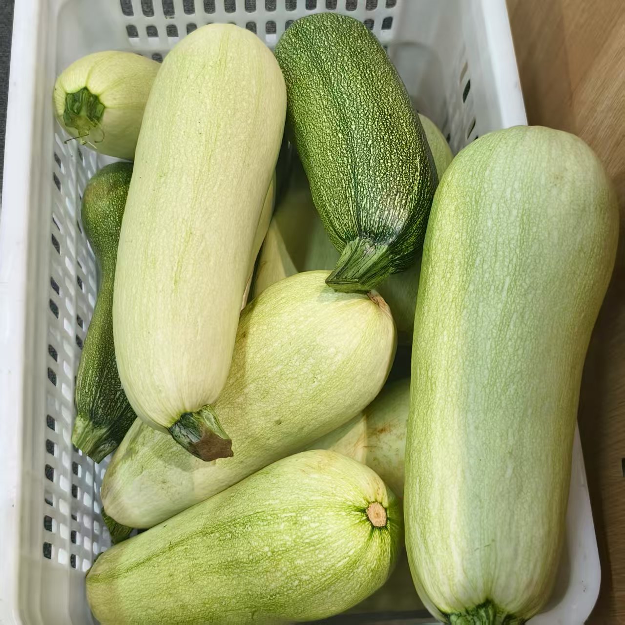 【泽饶】农家小院自种角瓜西葫芦3斤以上