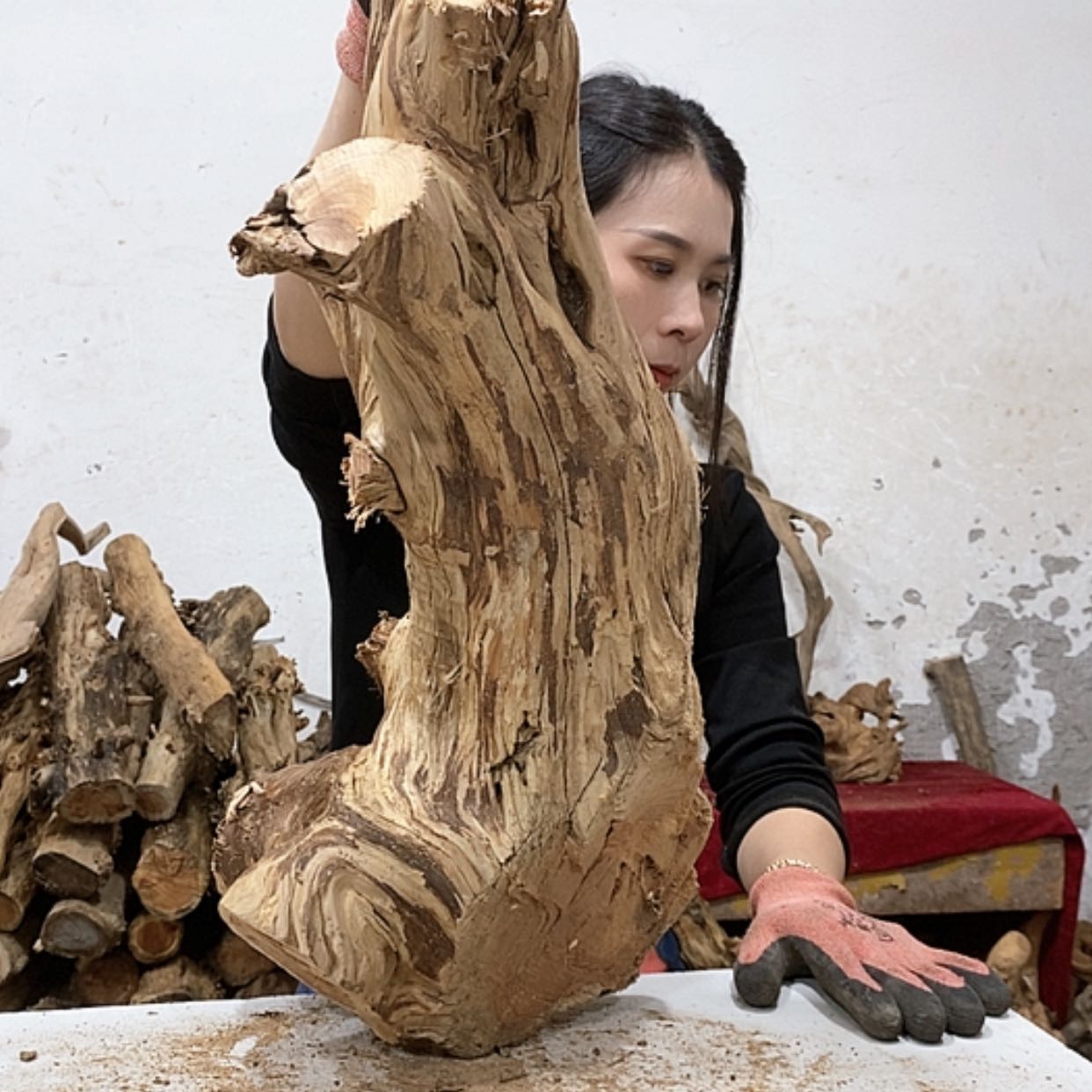 【闪购商品】柏木郑**士我们都是好孩子