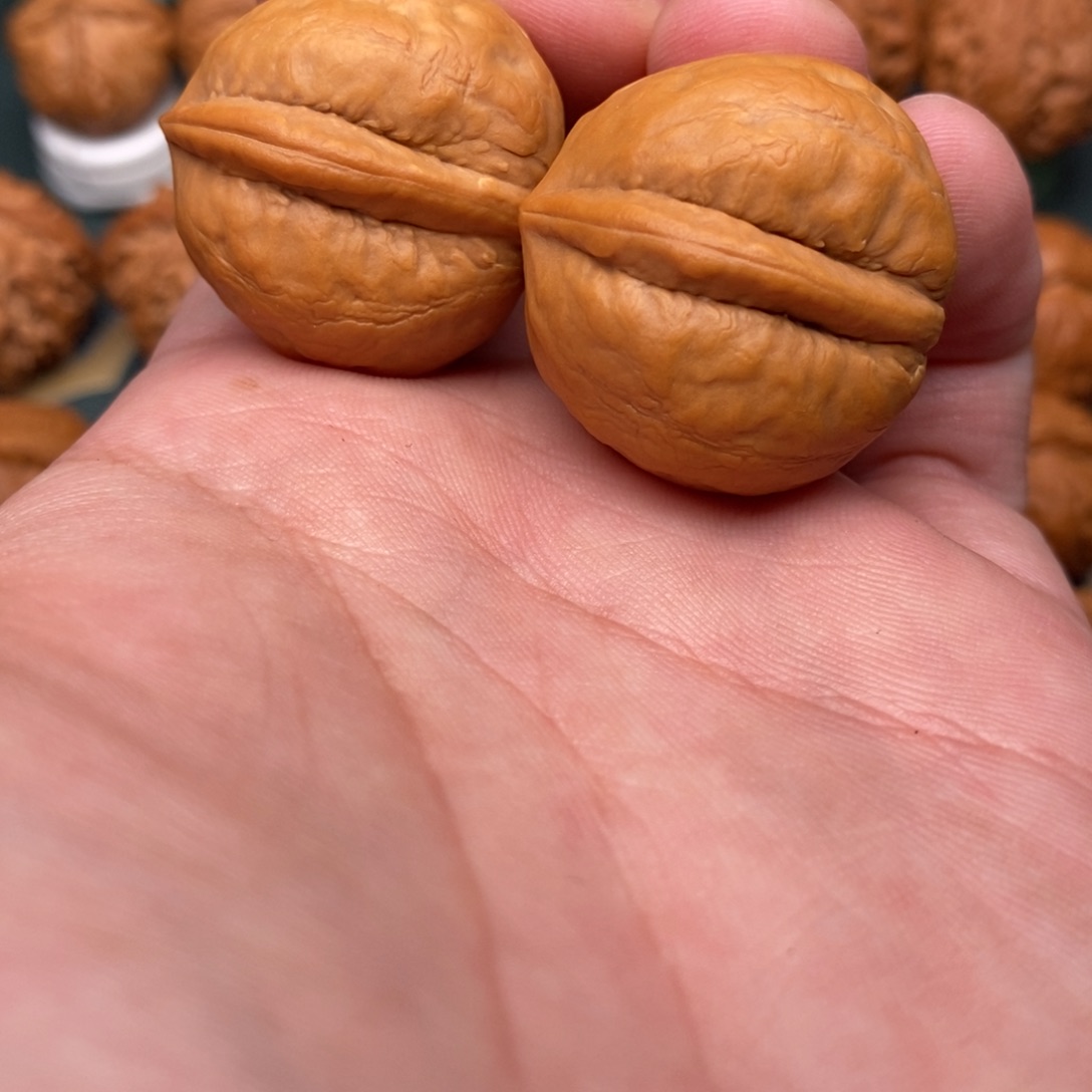 文玩核桃把件海豚