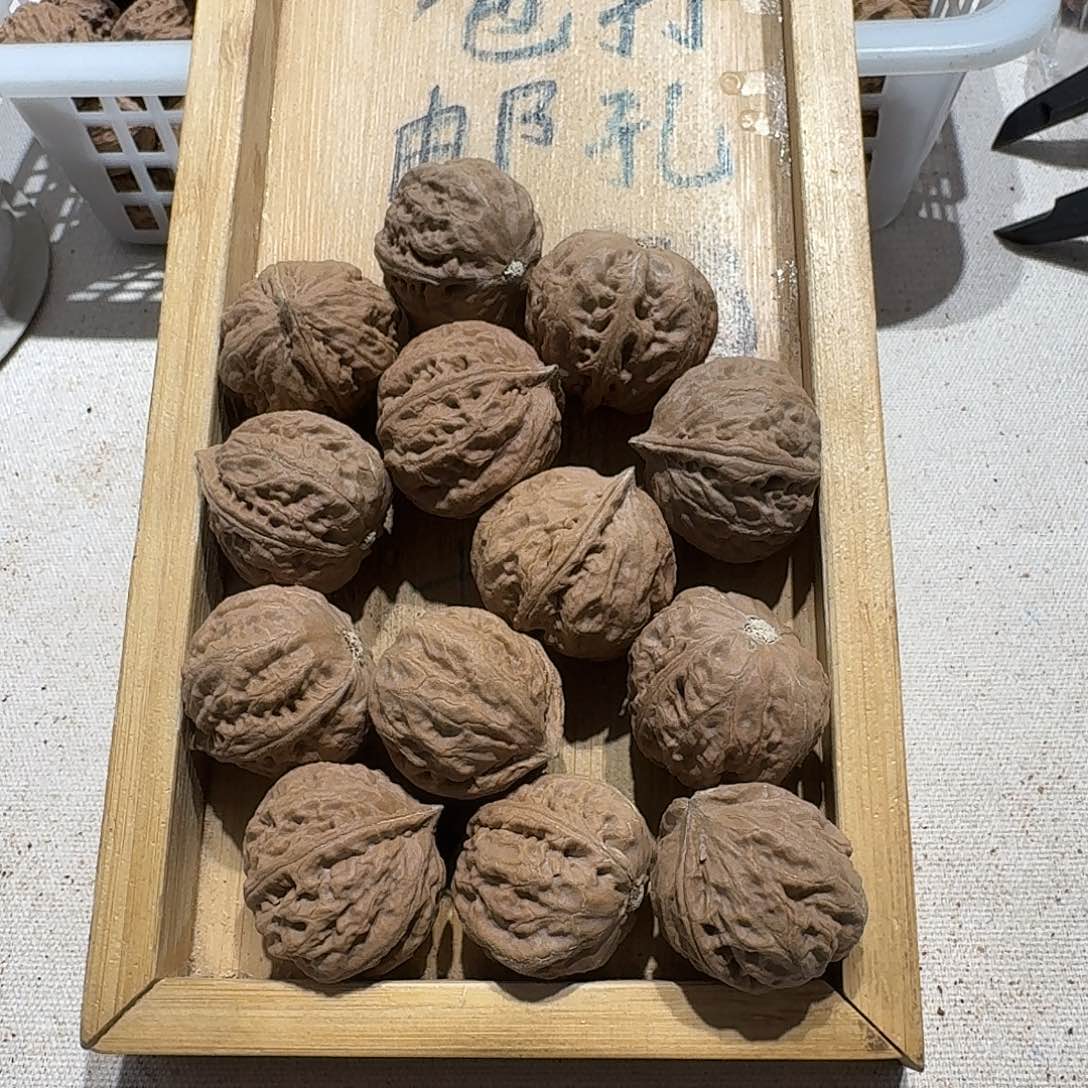 核桃手串/手链14号边26肚30高27