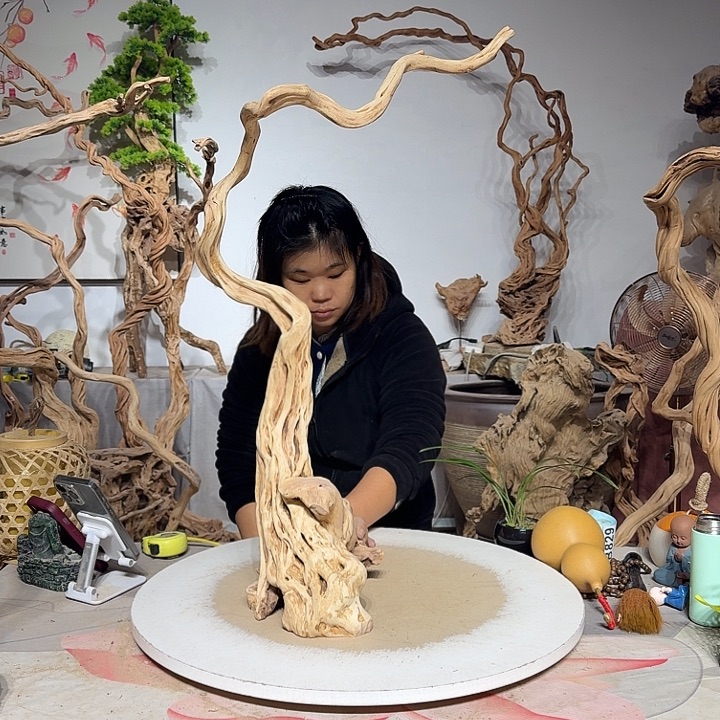 与***君杜鹃根艺术中心根