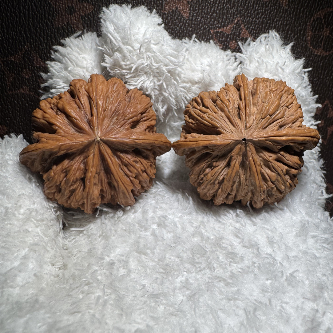 密纹狮子头五棱，五年岁月终于配对成功，43尺寸精品配对全品无修