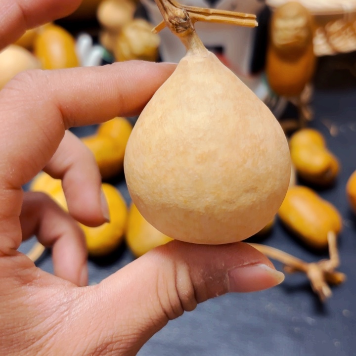 安*88888888888888888888