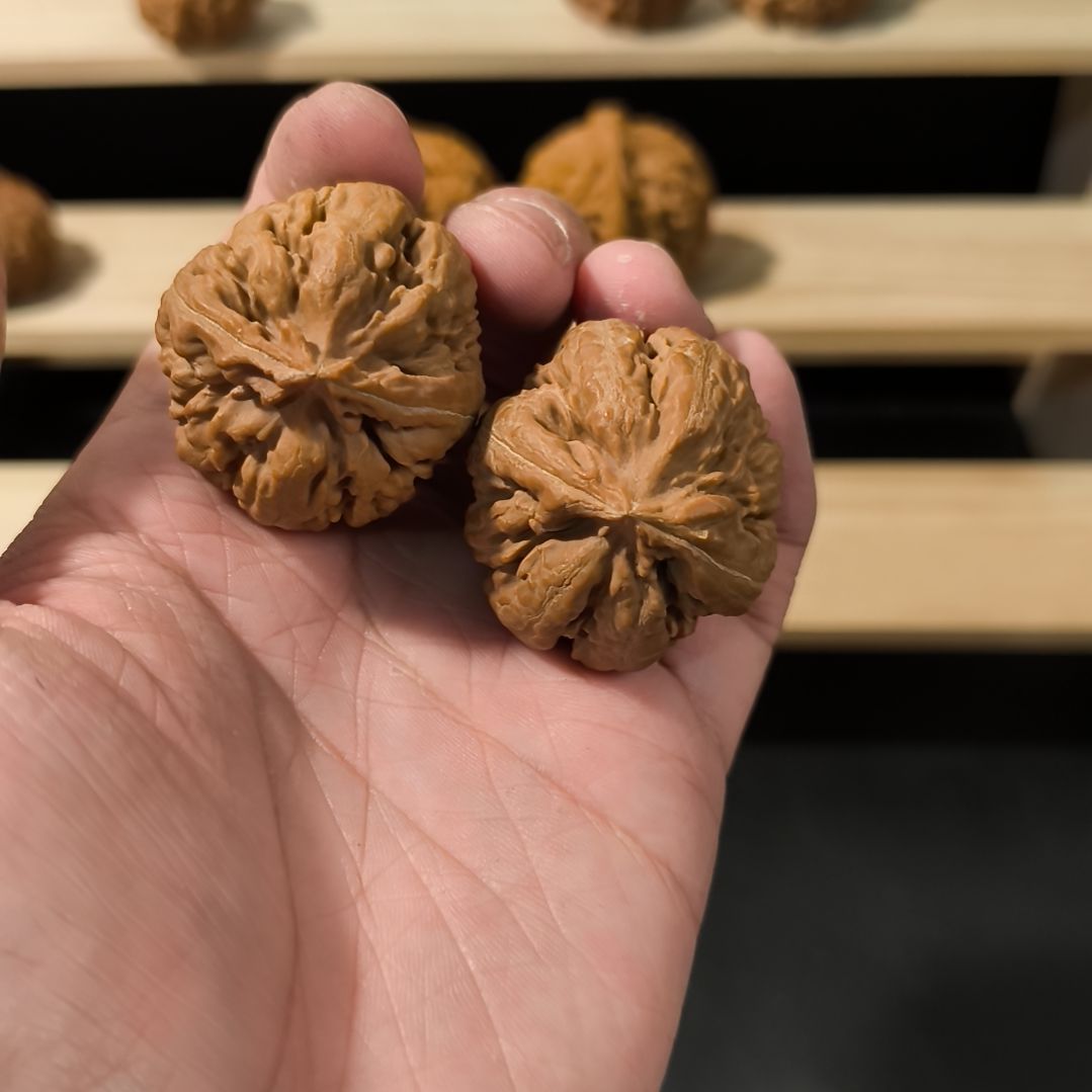 文玩核桃吊坠36霸王龙