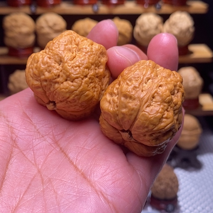 木质类云铁小平头蟾54号