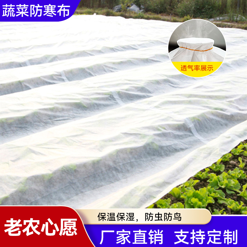 冬季蔬菜防寒布农用无纺布防冻透气保湿防寒防冻防倒春寒支持定制