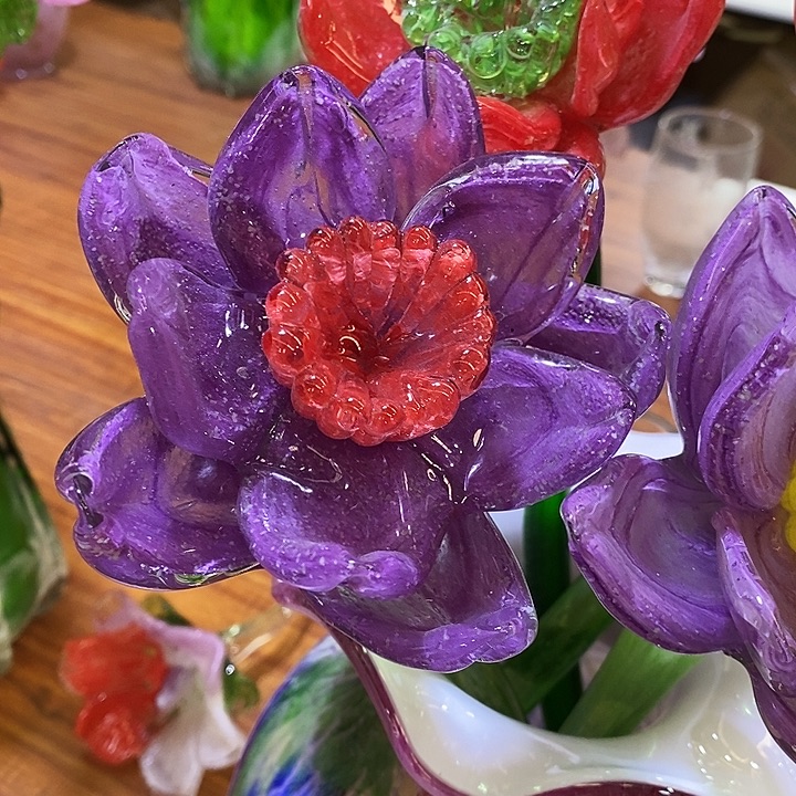 夜光花高45厘米宽12厘米