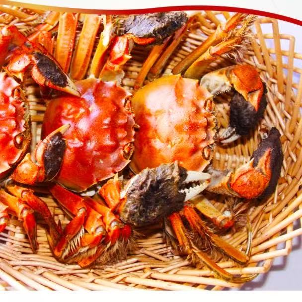 【活蟹】特大公蟹3两起两8/15只 3-5斤 鲜活发货 京东包邮