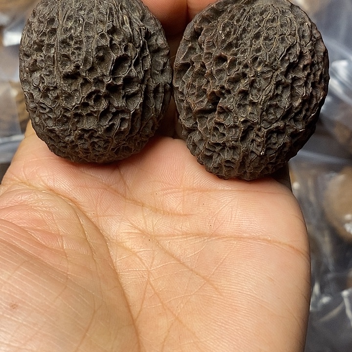 把件文玩核桃云南铁核桃12