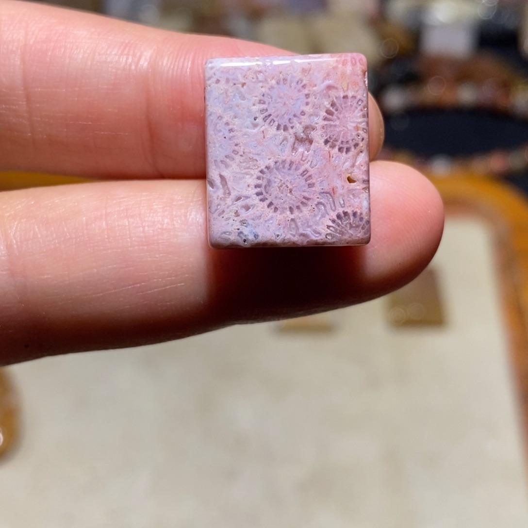 【闪购商品】硅化玉珊瑚玉未镶嵌
