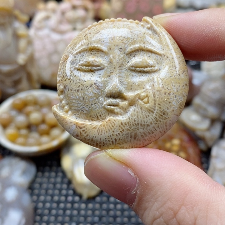 硅化珊瑚（珊瑚玉）颈饰未镶嵌