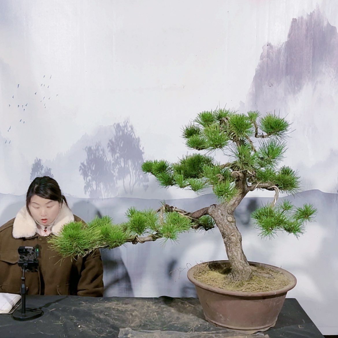 【闪购商品】运费到付