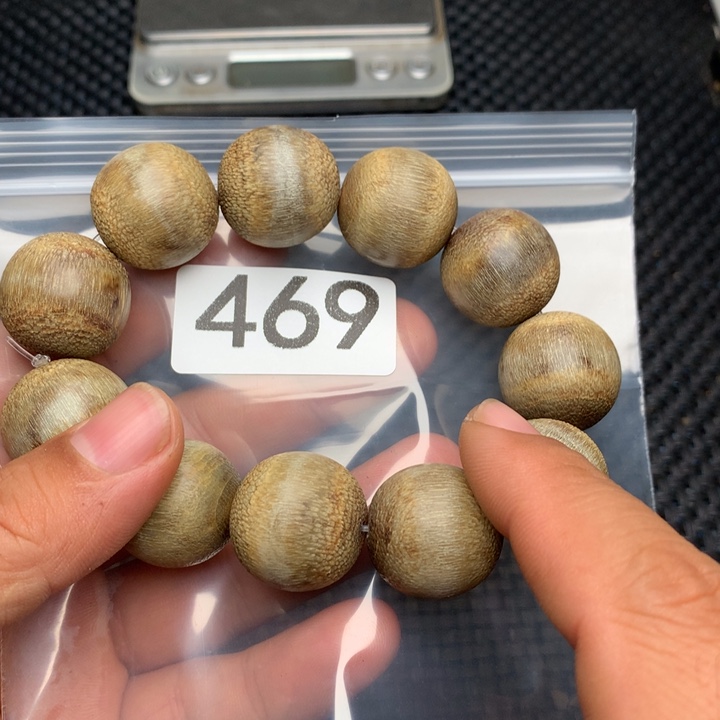 大果紫檀（缅甸花梨）