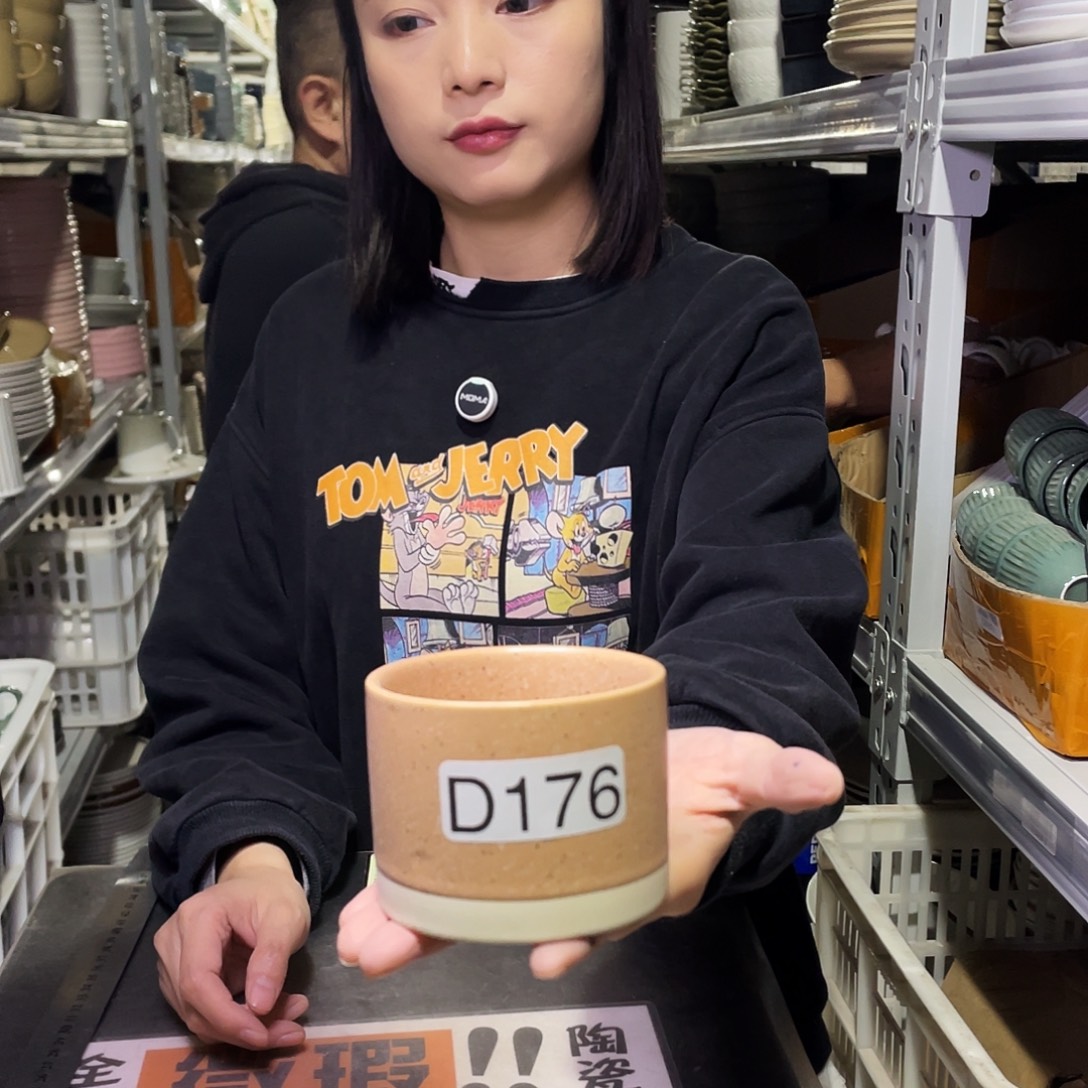 瓷片176            6个