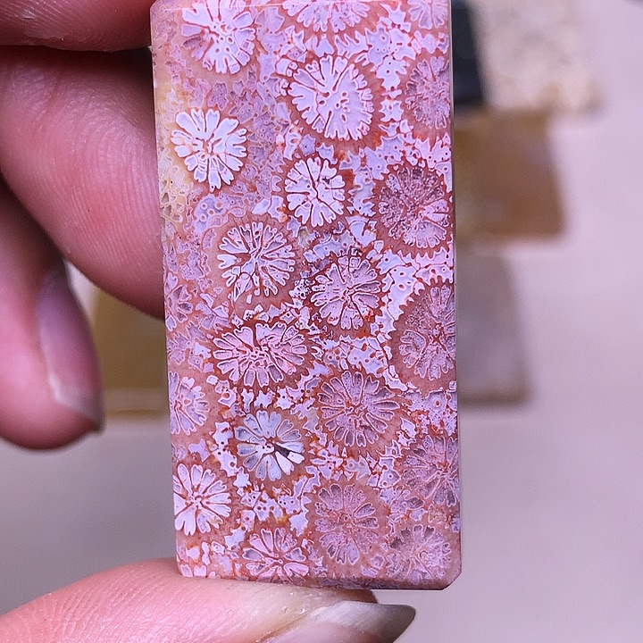 s***。硅化玉合金珊瑚玉
