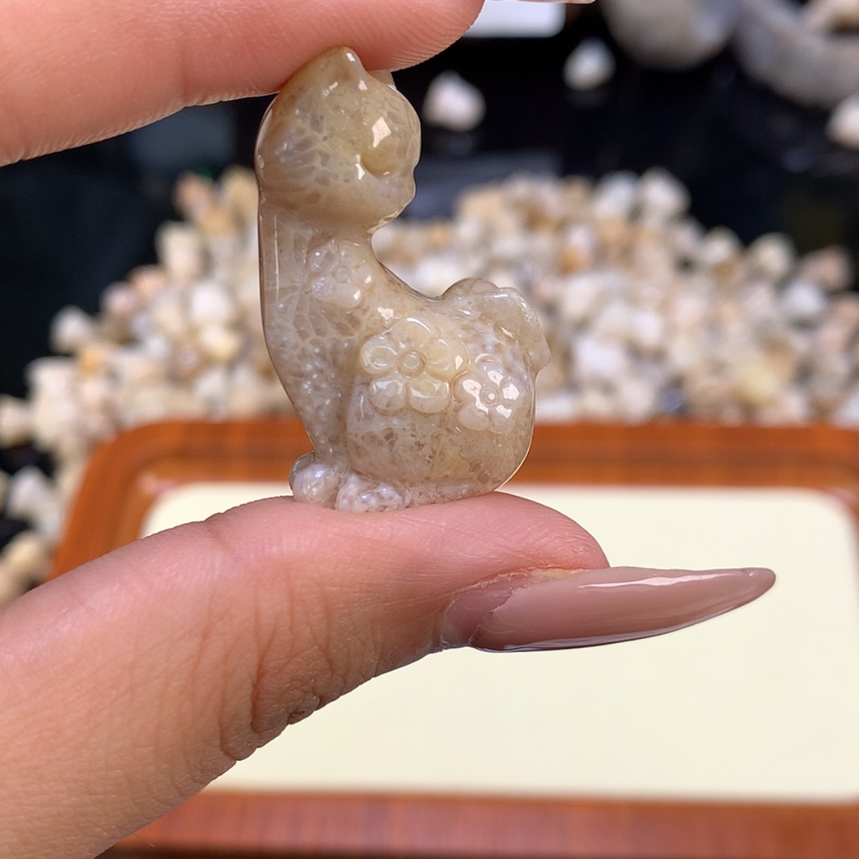 【闪购商品】颈饰未镶嵌硅化珊瑚（珊瑚玉）怡*