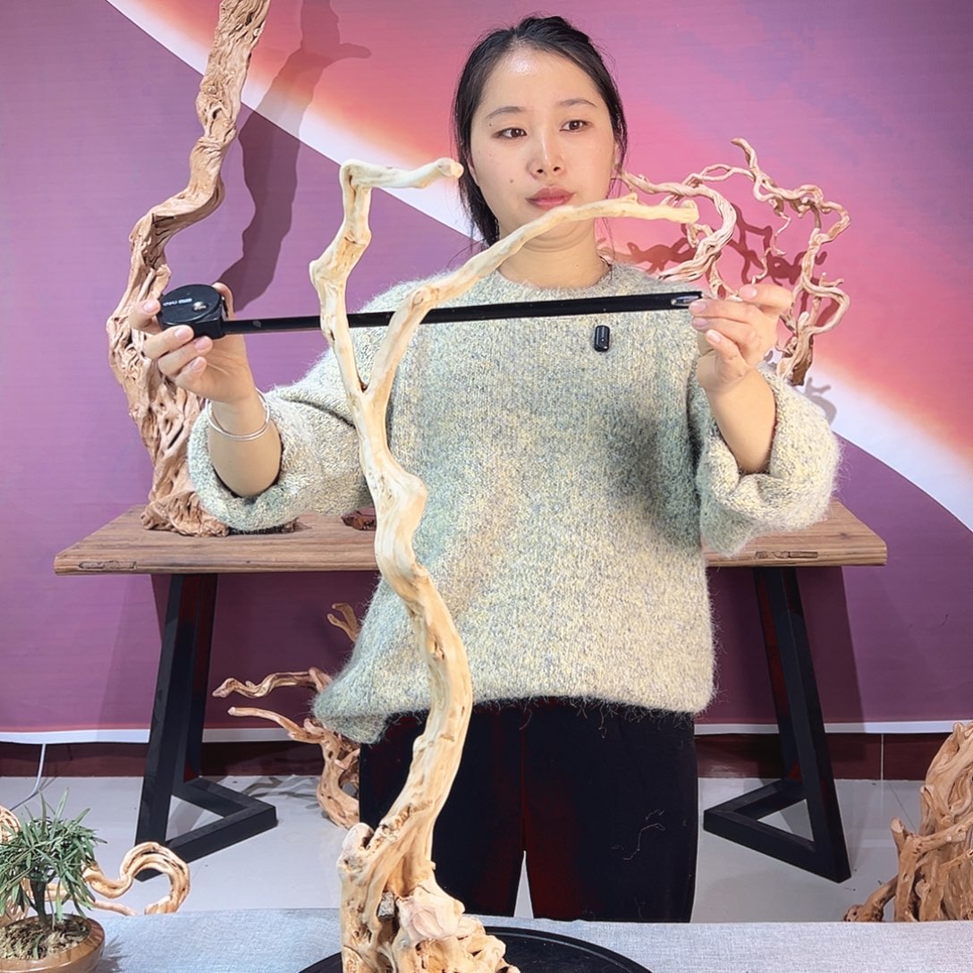 u***8木天然杜鹃根根艺摆件