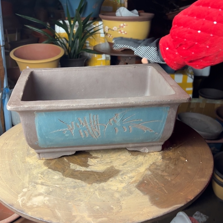 紫砂31蓝马槽华欧华欧