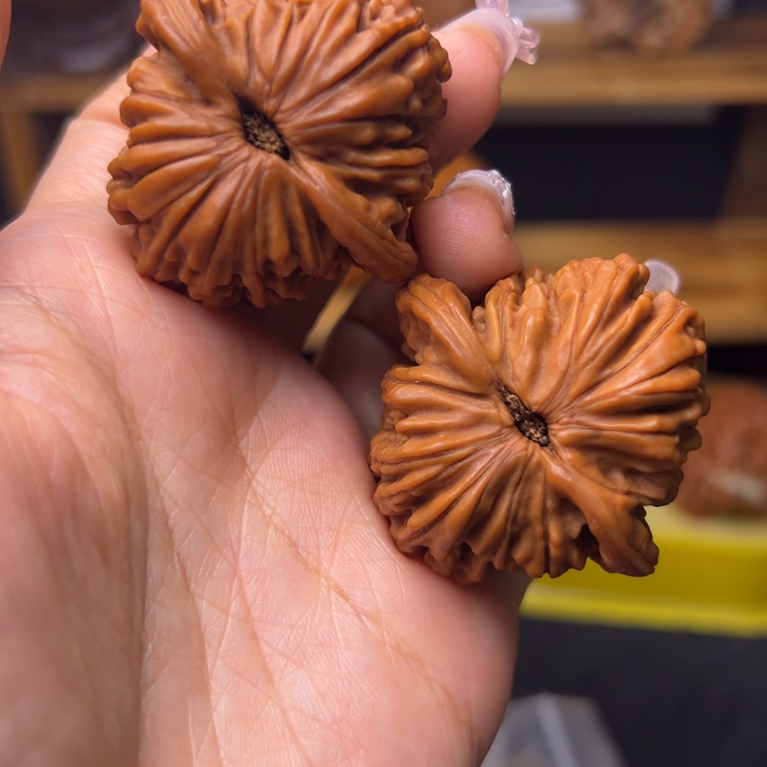 .***1把件桃核四座楼福利