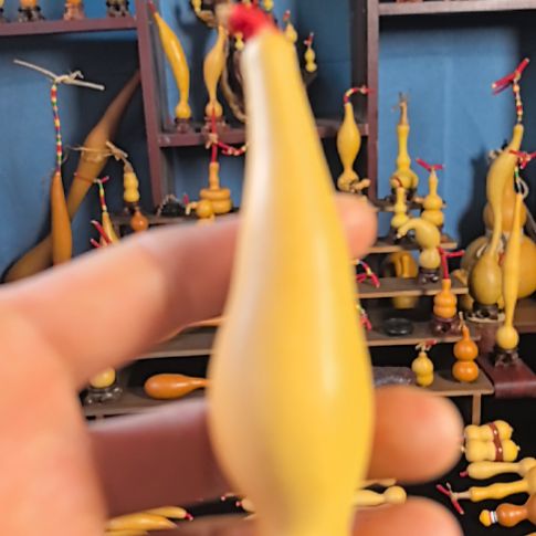 D***D葫芦一物一拍，看好下单