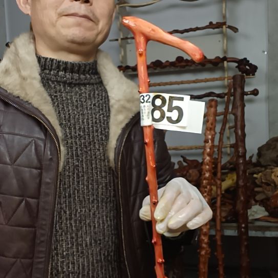 奥***鑫香榧木高山 檬子木文玩料